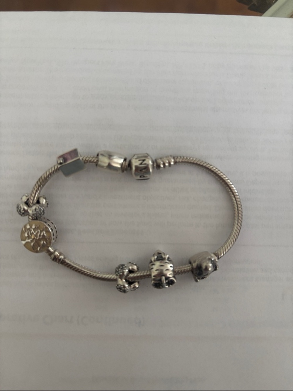 Pandora Silver Charm Bracelet with Animal and Decorative Charms